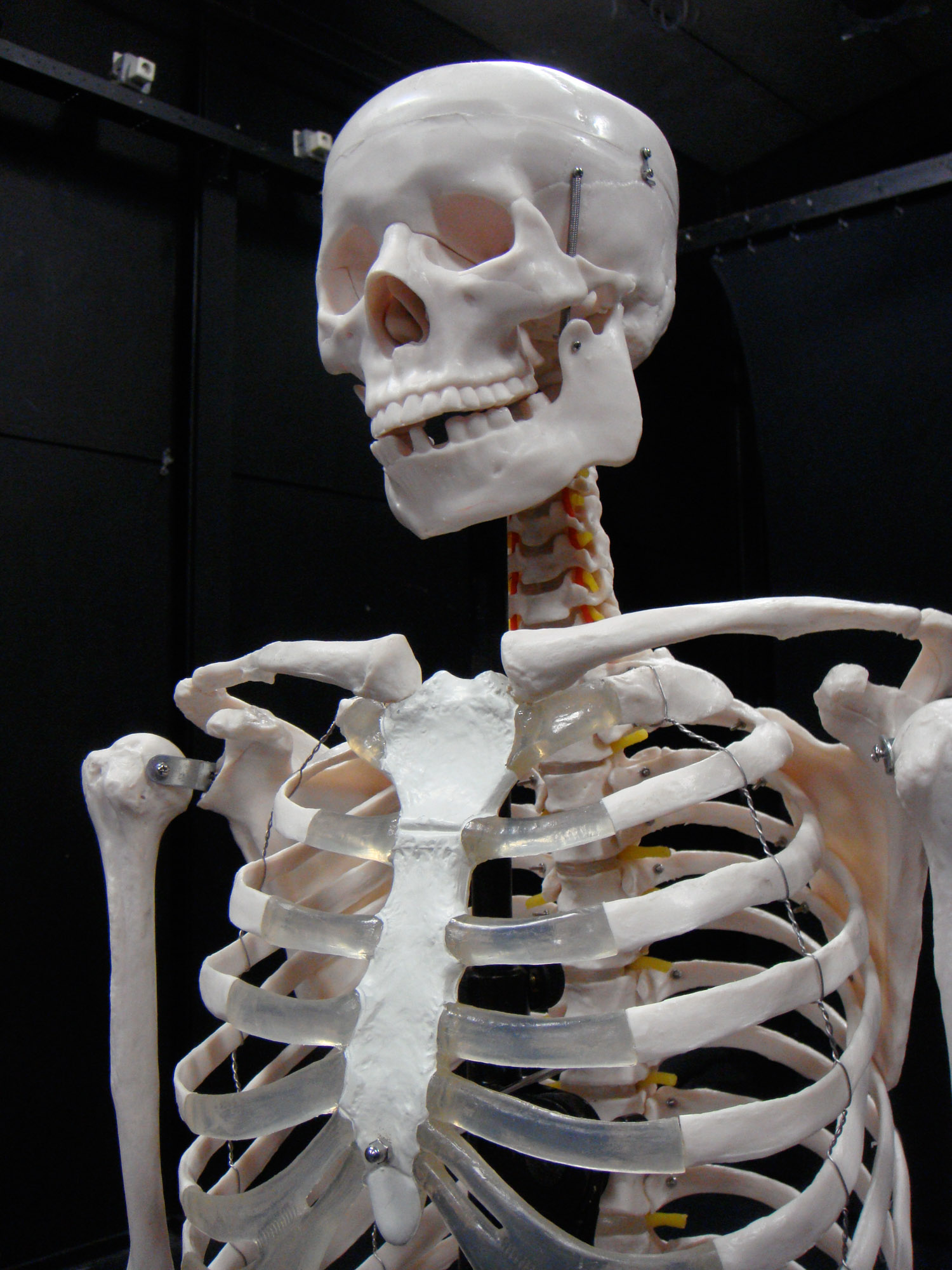 Theaterstichting TRAXX 2009