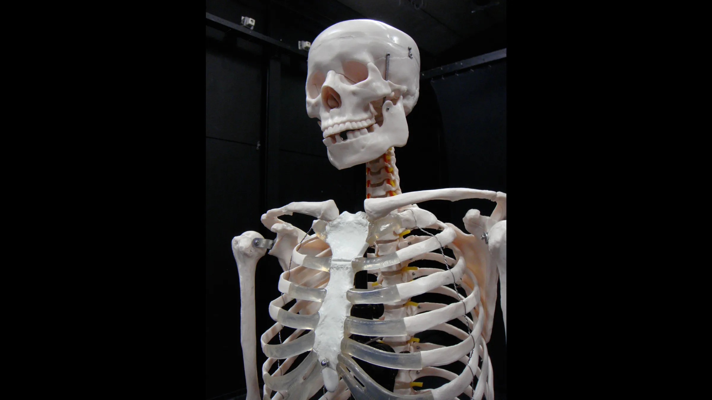 Theaterstichting TRAXX 2009