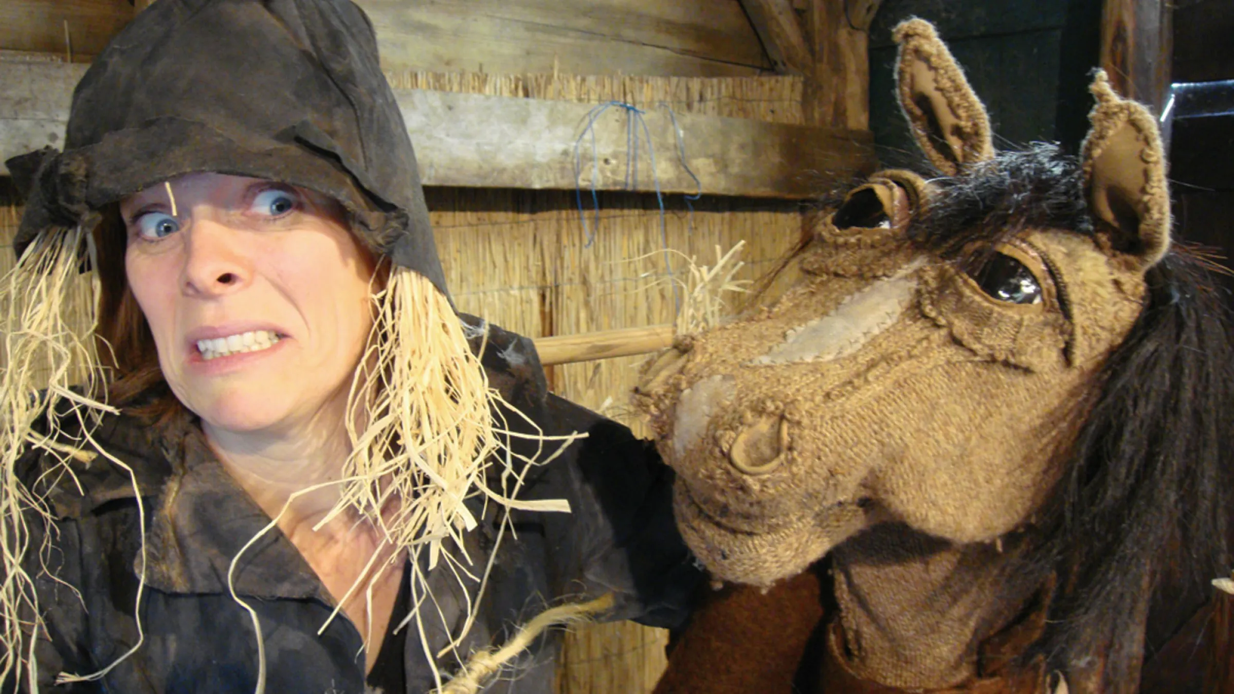 Het huis van Barm 2009