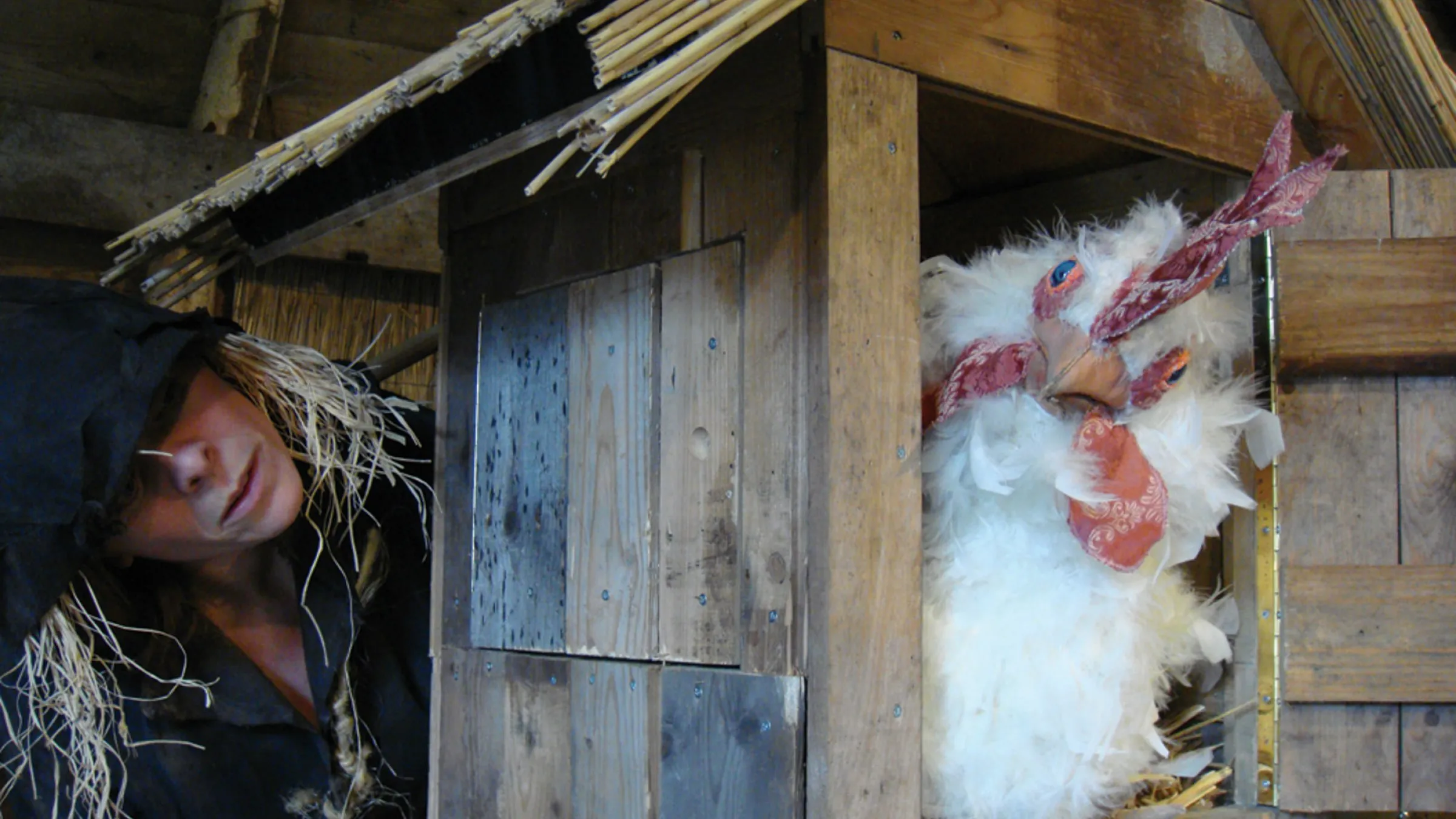 Het huis van Barm 2009