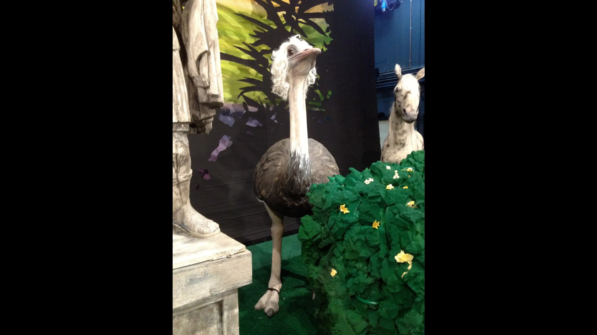 Staatstheater Oldenburg 2013