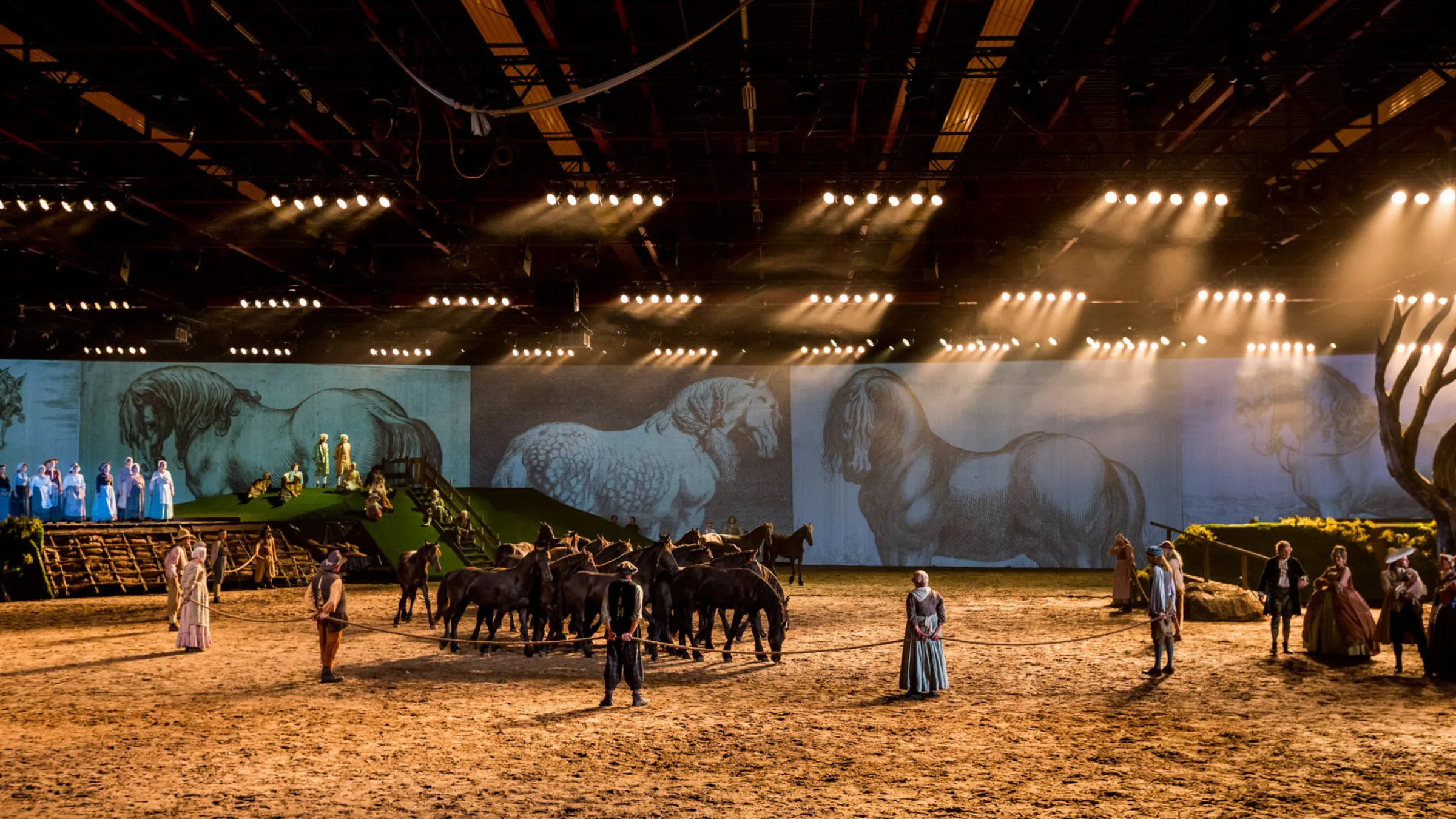 Stichting Faderpaard 2018