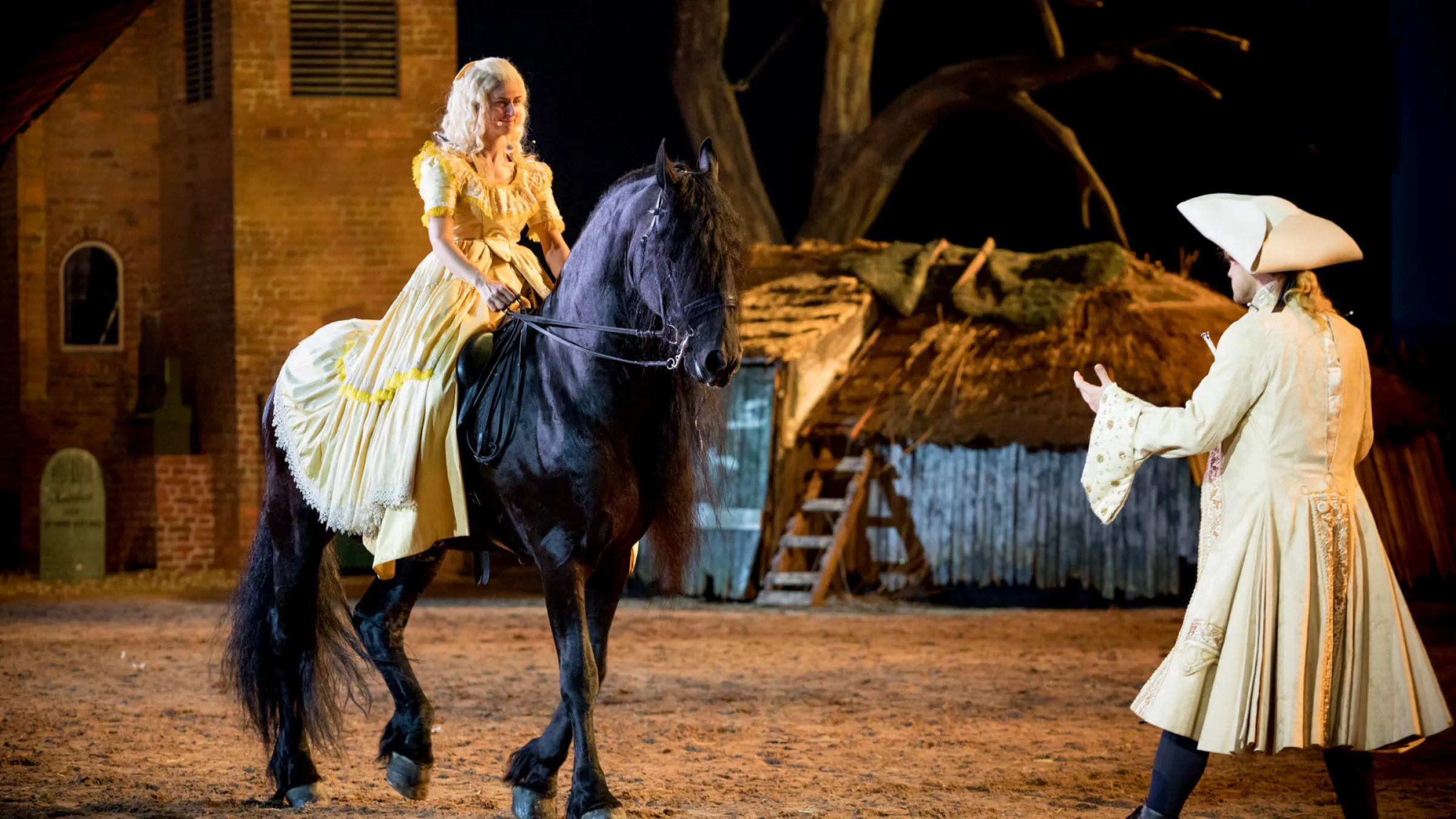 Stichting Faderpaard 2018